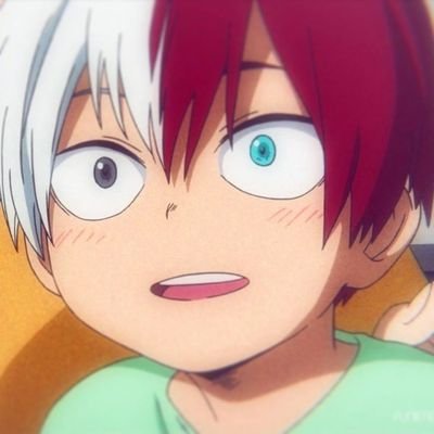 BicolorTodoroki Profile Picture