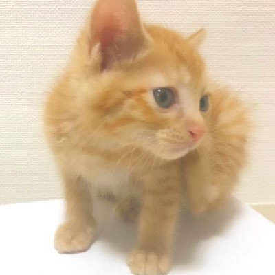 aminyanko01010's profile picture. 2025年は肌治療とダイエットがんばる💪美容医療とコスメ好きです