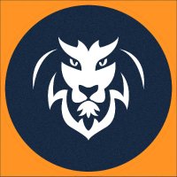 Lions In Pijamas (@lionsinpijamas) 's Twitter Profile