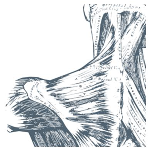 HelpManagePain's profile picture. Board Certified Pain Medicine-ABPM&R, Board Certified Sports Medicine-ABFM CAQ, Board Certified Diplomate-ABFM