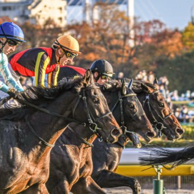 29歳多趣味おじさん、競馬関連中心(馬券＆1口馬主)、株取引を長く、最近は不動産投資もしてます(´-ω-)