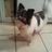 Alpiere2112's profile image