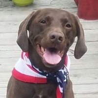 TruthNotFear (@truth_notfear) 's Twitter Profile
