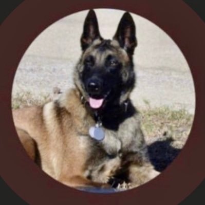 deplorabletx1's profile picture. Faith over Fear! Dems don’t have faith so they push the agenda of fear 4 #control. The plandemic is a way to control. What is the jab? #abortedfetalcells