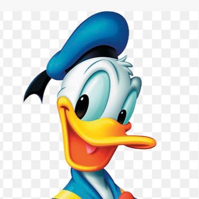 Account to provide my opinions if asked and positive tweets, follow the QuackQuack.