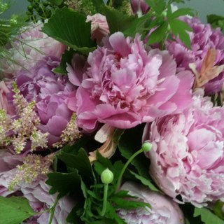 dropfun's profile picture. kiwonhong 유머는진보의위대한무기