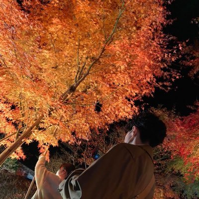 1wa_c15_9i's profile picture. ラグビーと海の町で生まれ、東北杜の都で構造設計 実務5年目 最近の趣味はインテリア雑貨とお香 2024一級建築士合格 おとラグ🏉ちー🌊