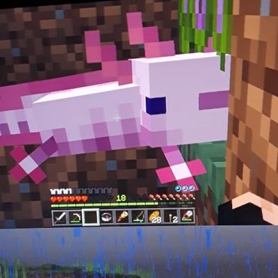 spewpathief's profile picture. 