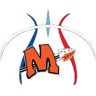 Minooka Feeder Basketball Profile