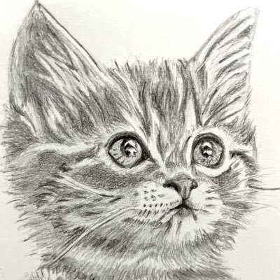 二宮担、大宮、嵐大好き ハンドクあたりから二宮さんが気になって、いつのまにか👀が離せなくなりました 仕事人間で活動は少なめでしたが、最近活動量増加中です 2020年のフリスタきっかけで絵を書き始めた初心者です 無言フォローお許しください