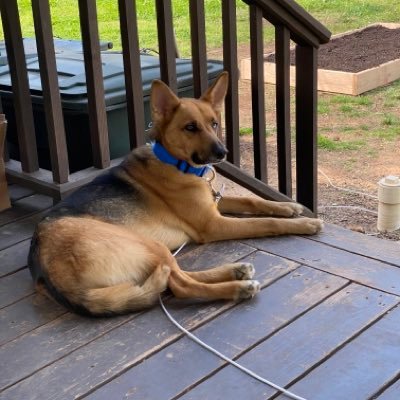 gambler2356's profile picture. Trump is the President, God is my father, Hard working family man and Patriot, Angel family, and Thank you Elon for your Patriotism and turning this mess around