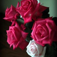 hanaaatwan (@hanaaatwan) 's Twitter Profile Photo hanaaatwan (@hanaaatwan) 's Twitter Profile Photo