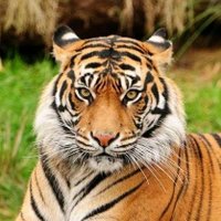 🇦🇪 (@allkind69x69x) 's Twitter Profile