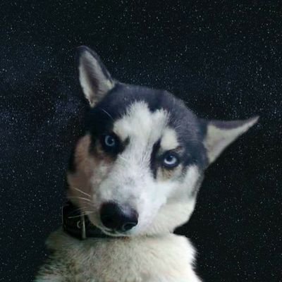 Roberto9999Gar2's profile picture. 