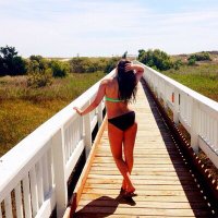 BLACK Sluts Public Sex Porn Videos Cams Free Hot (@blackslut_2) 's Twitter Profile