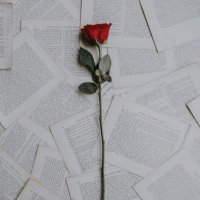 (المزيني) (@almazini0) 's Twitter Profile
