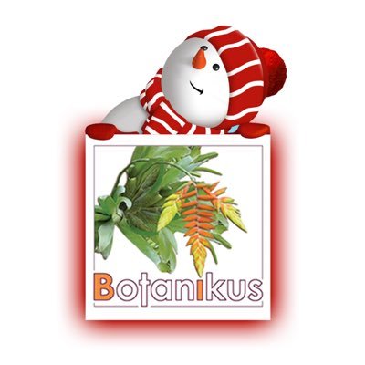 BotanikusVe Profile Picture