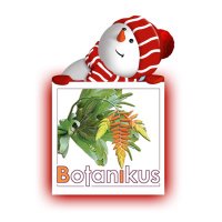 Botanikus Arquitectura Paisajista (@botanikusve) 's Twitter Profile Photo Botanikus Arquitectura Paisajista (@botanikusve) 's Twitter Profile Photo