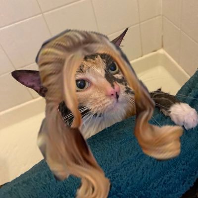 ThahOne's profile picture. NAME A B. I.. T... C.... H...,, WHO COULD DO BETTER🤭😤 ADELE FOR LIFE