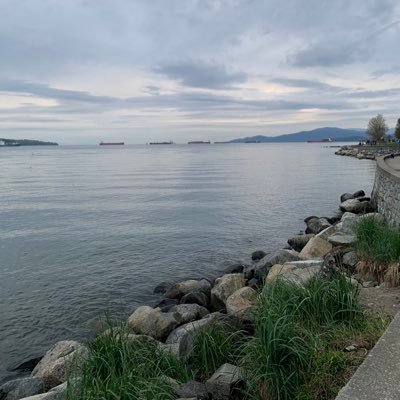 ayushig21760873's profile picture. 