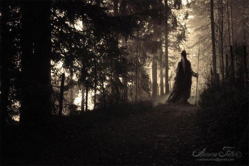 highlandlongbow's profile picture. 