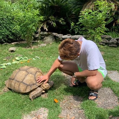 らんちゅう、ゾウガメ、キアシガメ、ヒョウモンガメ、ケヅメを
飼育しています。インコ系も繁殖して遊んでます😊