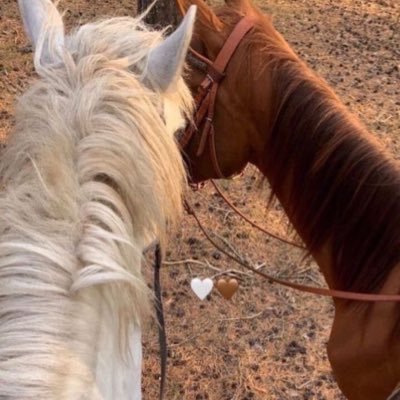 sh215ad's profile picture. 