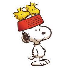 nu_pi__tokai's profile picture. 東海オンエアとスヌーピーとbacknumberが好き。🤎寄りの📦/北海道/無言フォロー失礼します🙇‍♀️🙏