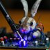 conejo 🐇🐰🤖 @conejo@social.tinygo.org (@_CONEJO) Twitter profile photo