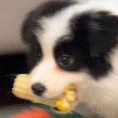 Xiuzhou7's profile picture. Hello and welcome to Zhejiang and Xiuzhou. Share you the beautiful views and life here. Show the real China. (Follow back🇨🇳互fo)