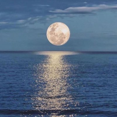 GSG5tzmHHrMdlJY's profile picture. 