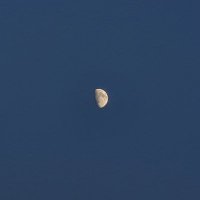 KR (@kyprosa_) 's Twitter Profile