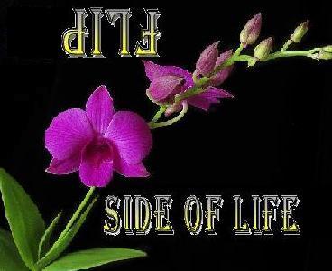 Trying to inspire and be inspired. I have learned that there is always a flip side to life...sometimes it just needs some inspiration