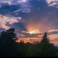 Jaymorse (@itsmorse_j) 's Twitter Profile