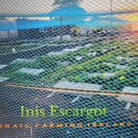 Inis Escargot (Snail Farming) (@inisescargot) 's Twitter Profile