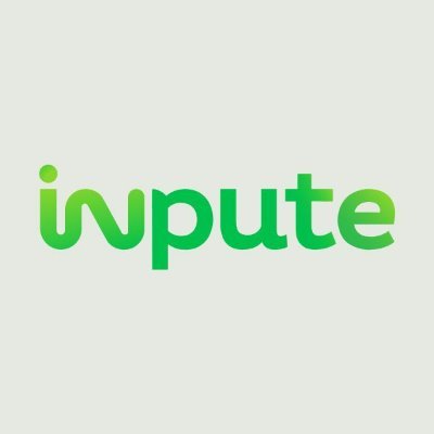 Inpute_Tech Profile Picture