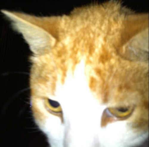 gilbert____'s profile picture. 