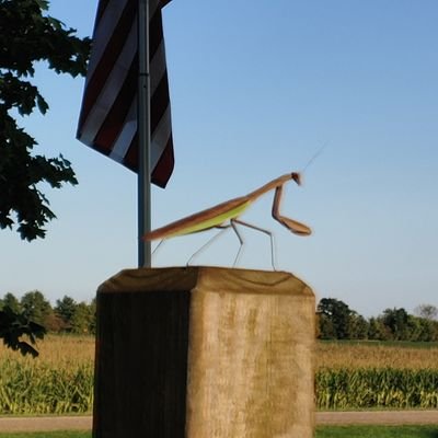 doxisin21001's profile picture. 