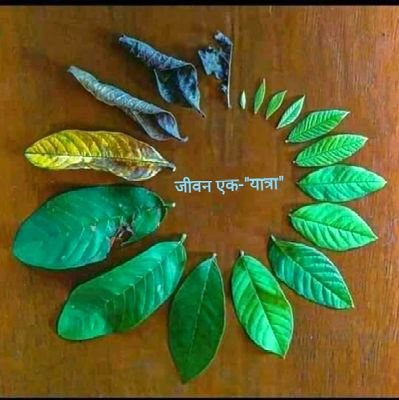umravsingh89's profile picture. इंसानियत प्रथमतः