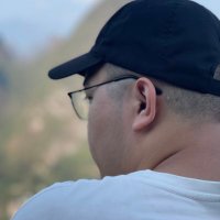 乾 (@lzppingbao) 's Twitter Profile