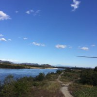ぱとりしあ (@p_t_y_r) 's Twitter Profile