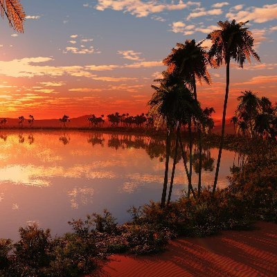 KANAGAV40028567's profile picture. 