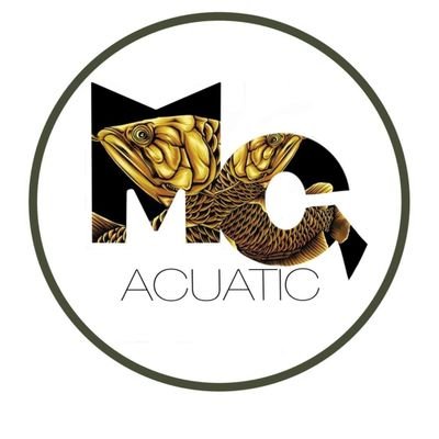 aquatic_mg's profile picture. 