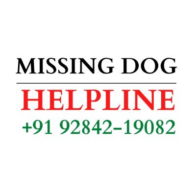 Real Missing Dog reunion stories 🐕. Hit
