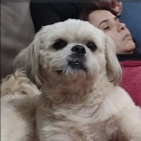 Mateus (@zaiyn_z) 's Twitter Profile Photo Mateus (@zaiyn_z) 's Twitter Profile Photo