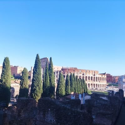 the_turtur's profile picture. Passion trains (utilise #RERB #RERC )  🤩🛤️