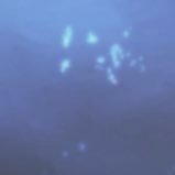 jwQ1CnngFhocsvZ's profile picture. 