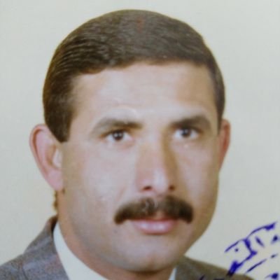 Mostafa Alawadyeyed