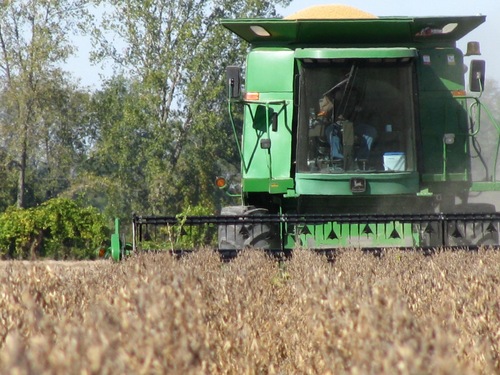 Own & operate Devolder Farms (Dekalb seed dealer/processor & Sukup grain bin/dryer dealer). Lifelong cash crop farmer from SW Ontario