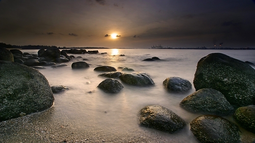 Goldyworlds's profile picture. 